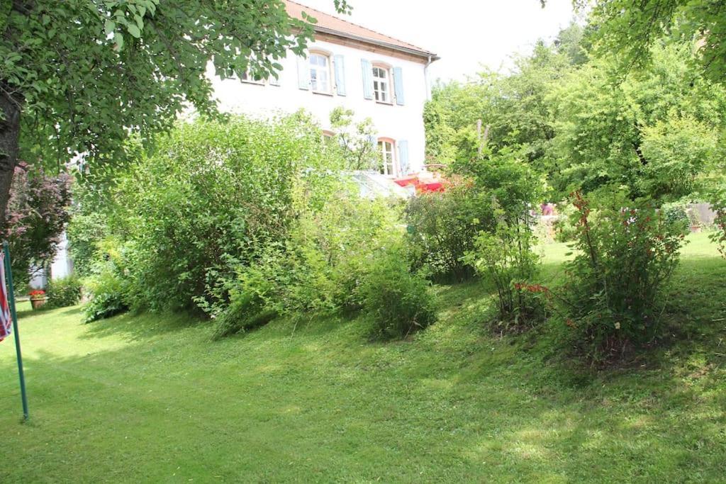 Haus Mit Geschichte In Maehring Apartment Exterior foto